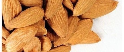 صادرات بادام مامایی درجه یک ۰۹۱۲۰۷۷۴۱۲۸