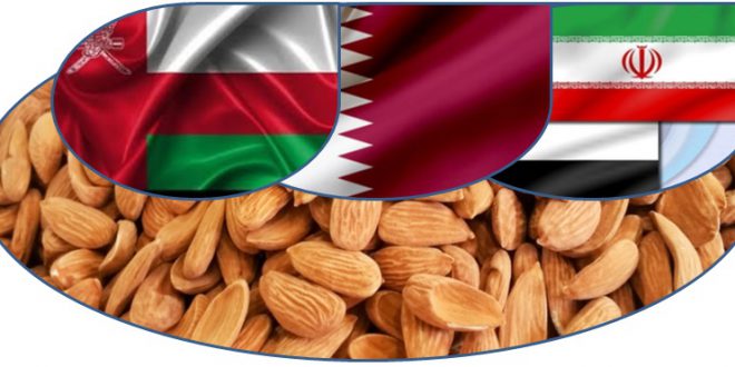صادرات بادام مامایی به امارات ، قطر و عمان 09120774128