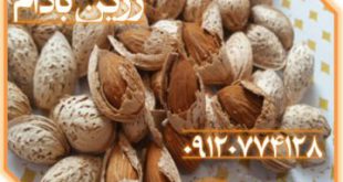 بادام آجیل کاغذی عمده ۰۹۱۲۰۷۷۴۱۲۸