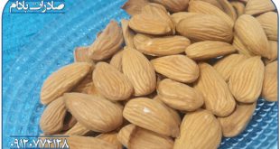 صادرات بادام ایرانی 09120774128