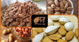 پخش انواع بادام ۰۹۱۲۰۷۷۴۱۲۸