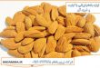تولید بادام ایرانی ۰۹۱۲۰۷۷۴۱۲۸