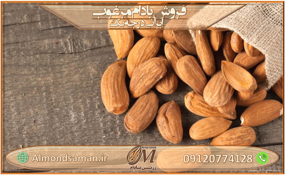 فروش و قیمت بادام مامایی سامان